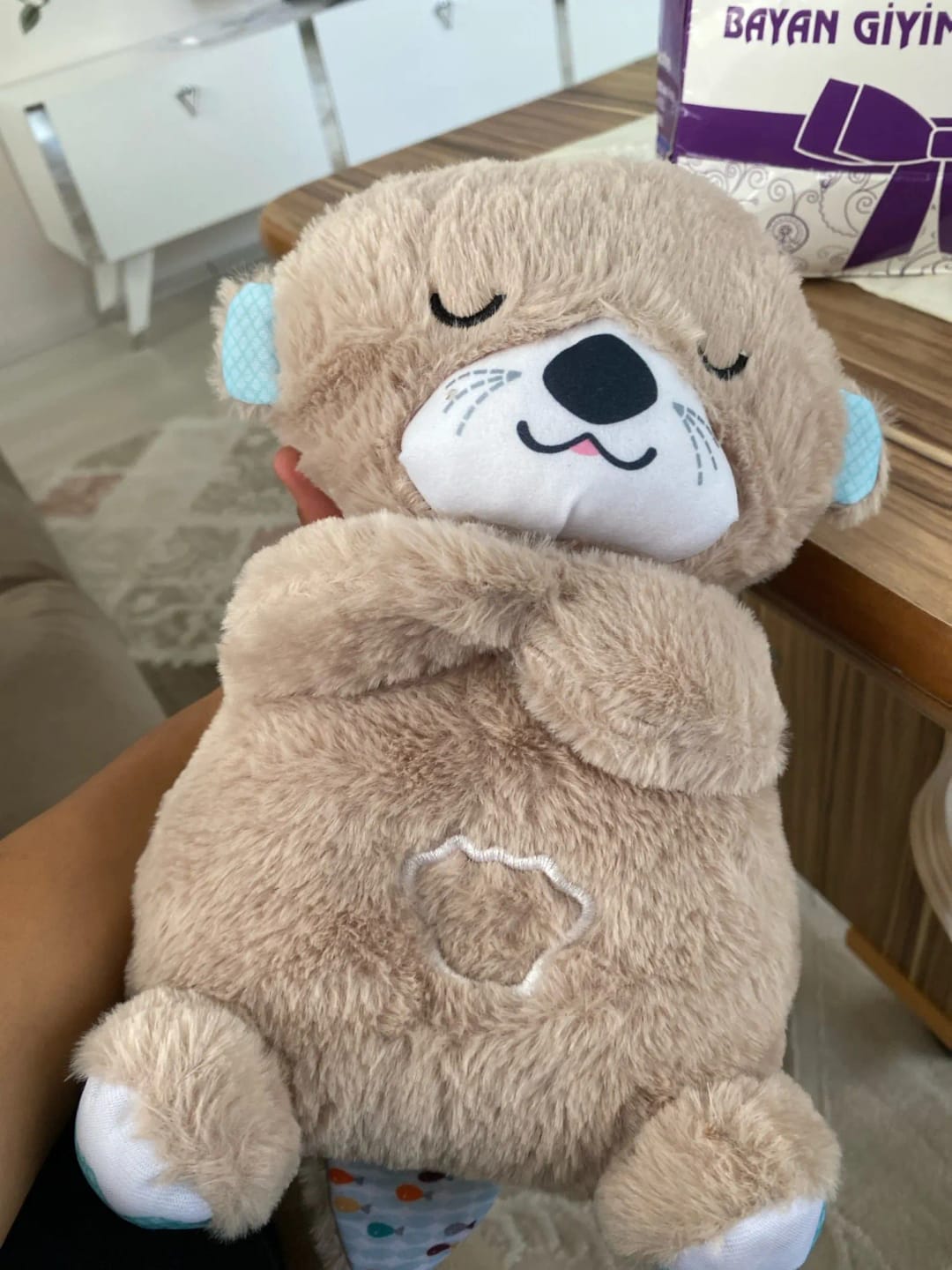 Breathing Teddy Bear